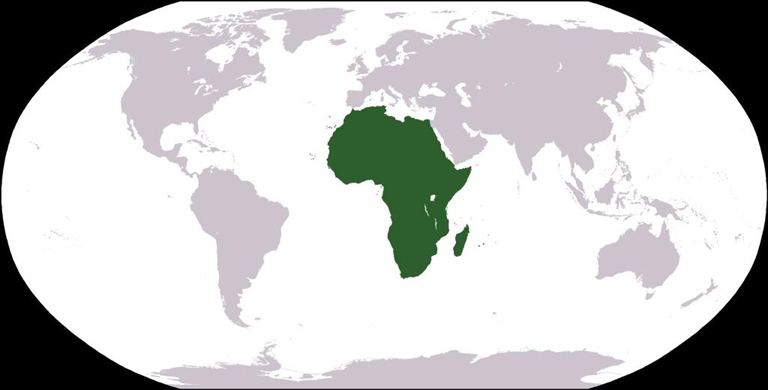 Africa: record del valore d’investimenti diretti esteri